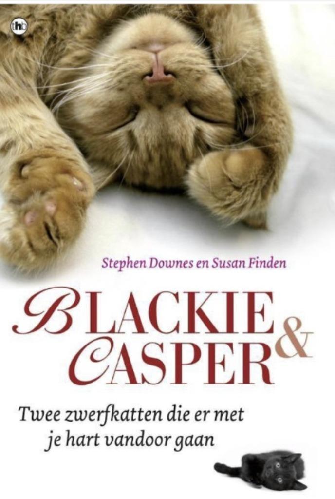 Blackie en Casper, Stephen Downes, Boeken, Dieren en Huisdieren, Zo goed als nieuw, Katten, Ophalen of Verzenden