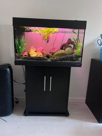 Leeg aquarium 80 cm, Dieren en Toebehoren, Ophalen, Leeg aquarium