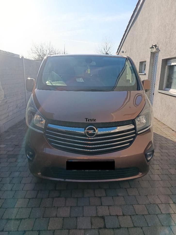 Opel Vivaro 1.6 CDTi L1H1 BiTur. COMBI PLUS (EU6), Auto's, Opel, Particulier, Vivaro, Diesel, Euro 6, Monovolume, Handgeschakeld