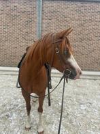 Quarter merrie te koop, Dieren en Toebehoren, Pony's, Merrie, Zadelmak
