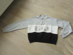 H&M grijs gestreepte sweater trui  maat 146-152, Kinderen en Baby's, Kinderkleding | Maat 146, Meisje, Trui of Vest, Gebruikt