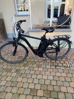 Duo Elektrische fietsen Raleigh te koop (man+vrouw), Ophalen, Gebruikt, Overige merken