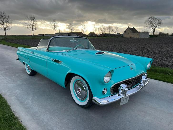 Ford Thunderbird 1955, Autos, Ford USA, Entreprise, Achat, Thunderbird, Essence, Cabriolet, 2 portes, Automatique, Bleu, Bleu