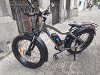 Druiz elektrische fiets, Fietsen en Brommers, Brommers | Crossbrommers, Ophalen, Zo goed als nieuw