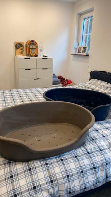 Paniers pour chiens beschikbaar voor biedingen