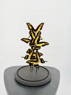 Opgezette Papilio Garamas Vlinders Stolp - Wildernis Atelier, Verzamelen