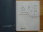 Pieter Bruegel / Ongezien / Davidsfonds / 2012, Boeken, Ophalen of Verzenden, Zo goed als nieuw