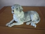 Hond in porcelein, Antiek en Kunst, Ophalen of Verzenden