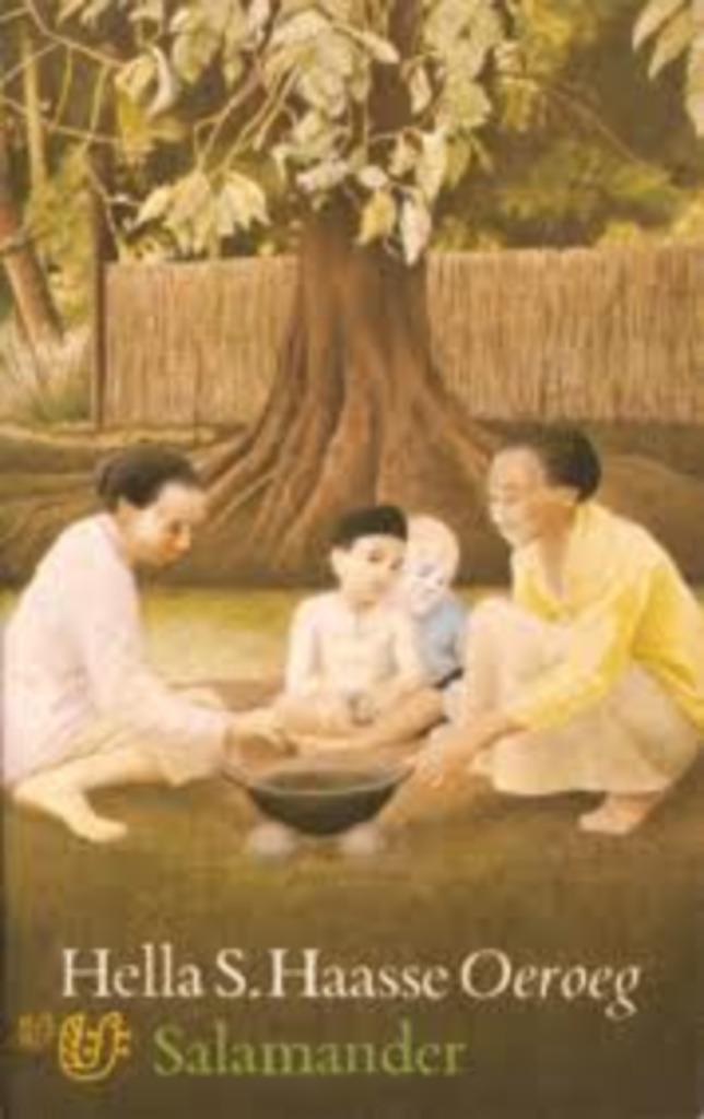 Oeroeg|Hella S Haasse 9021490765, Boeken, Literatuur, Zo goed als nieuw, Nederland, Ophalen of Verzenden