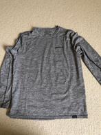 Grijs bruine tshirt lange mouw patagonia, Kleding | Heren, Ophalen of Verzenden, Zo goed als nieuw, Grijs