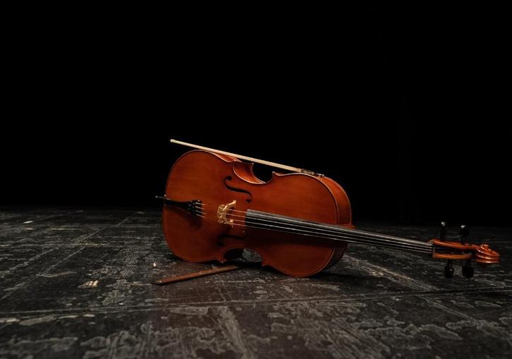 Cello 4/4 Emilie Français, Muziek en Instrumenten, Strijkinstrumenten | Cello's, Nieuw, 4/4-cello, Ophalen of Verzenden