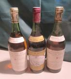 3x Jura Wijnen - henri maire 1632 domaine de montfort, Verzamelen, Wijnen, Frankrijk, Ophalen of Verzenden, Vol, Witte wijn