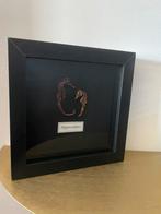 Kader met opgezette zeepaardjes, Ophalen of Verzenden