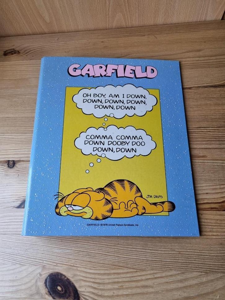 ringmap Garfield, Diversen, Schoolbenodigdheden, Zo goed als nieuw, Ophalen of Verzenden