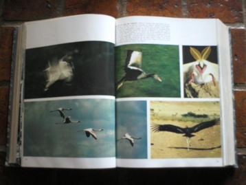 Atlas van 1968 Franstalig beschikbaar voor biedingen