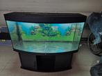 Aquarium jewel met toebehoren, Enlèvement, Utilisé, Aquarium vide