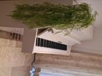Piano, Muziek en Instrumenten, Ophalen, Gebruikt, Wit, Piano