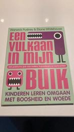 Een vulkaan in mijn hoofd, Ophalen of Verzenden, Zo goed als nieuw