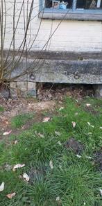 Deux abreuvoir en pierre bleu, Enlèvement