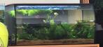 Fluval 123l aqua inclusief 50 guppen mix
