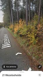 Bosgrond Herselt Vossenhoeve / Wezelseheide, Immo