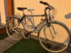 Minerva Orlando, Vélos & Vélomoteurs, 53 à 57 cm, Enlèvement, Utilisé, Vitesses