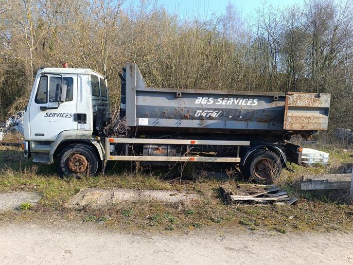 Camion container Daf  pour export, Autos : Divers, Modes d'emploi & Notices d'utilisation, Enlèvement
