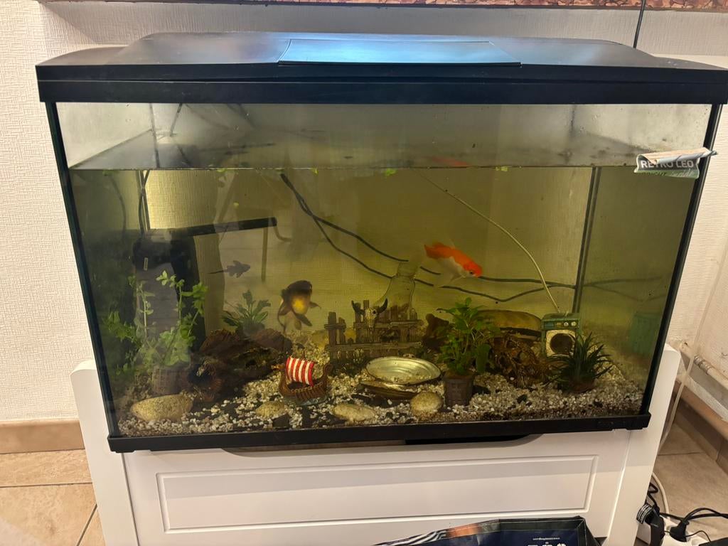 Aquarium, Ophalen, Zo goed als nieuw