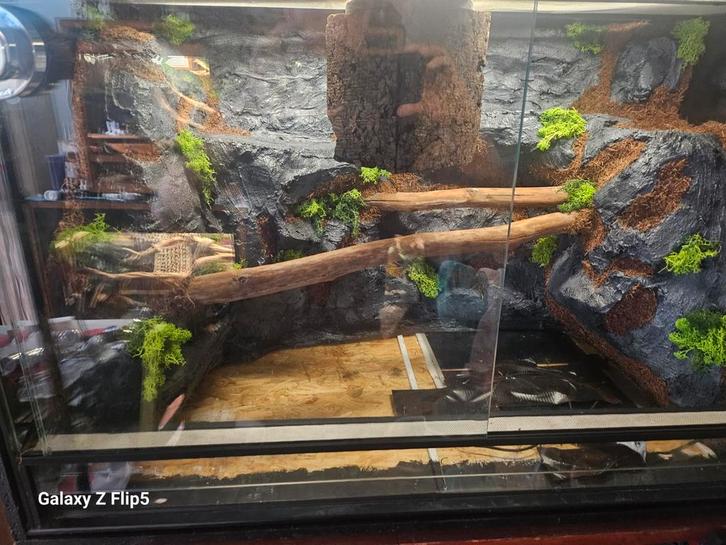 Terrarium 80 50 50, Animaux & Accessoires, Reptiles & Amphibiens | Accessoires, Enlèvement