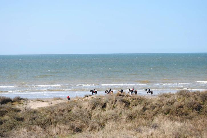 Studio à louer à La Panne avec vue sur la mer, Immo, Appartements & Studios à louer, Province de Flandre-Occidentale