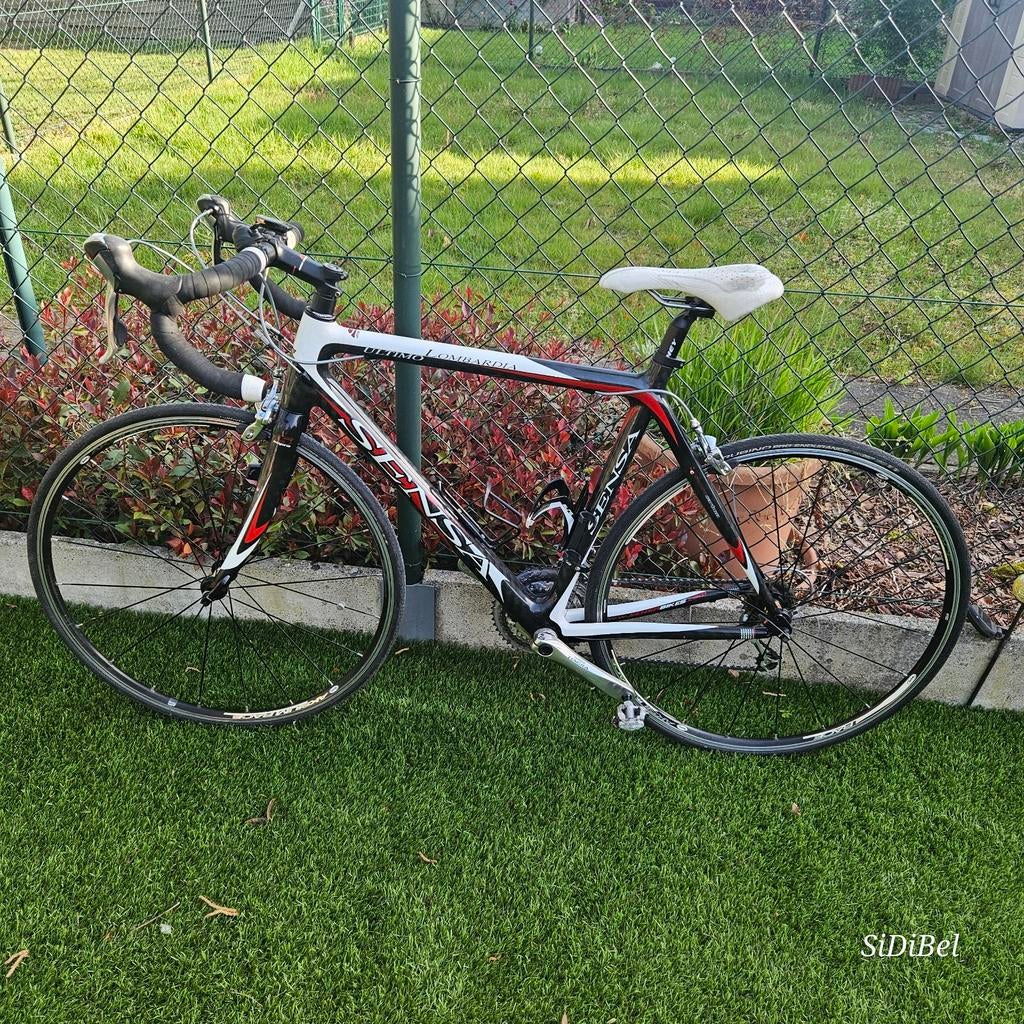 Sensa racefiets, ideaal voor beginners, superprijs, Carbon, Ophalen, Carbon