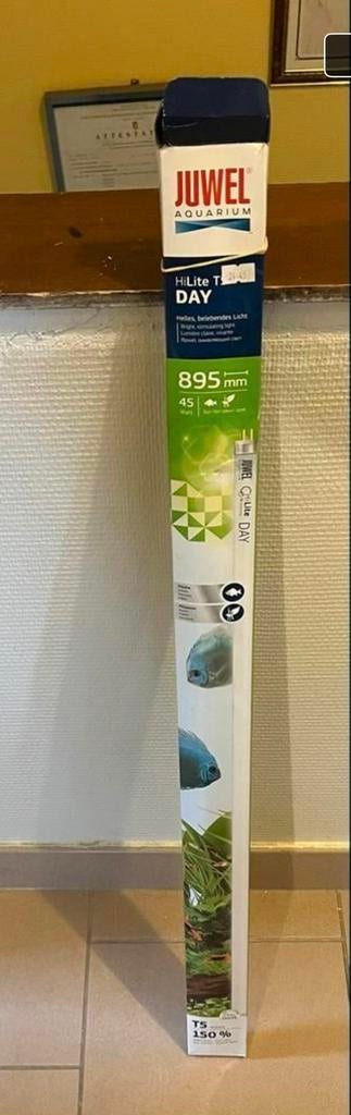 T5 pour aquarium, Rio, 180, Enlèvement, Comme neuf