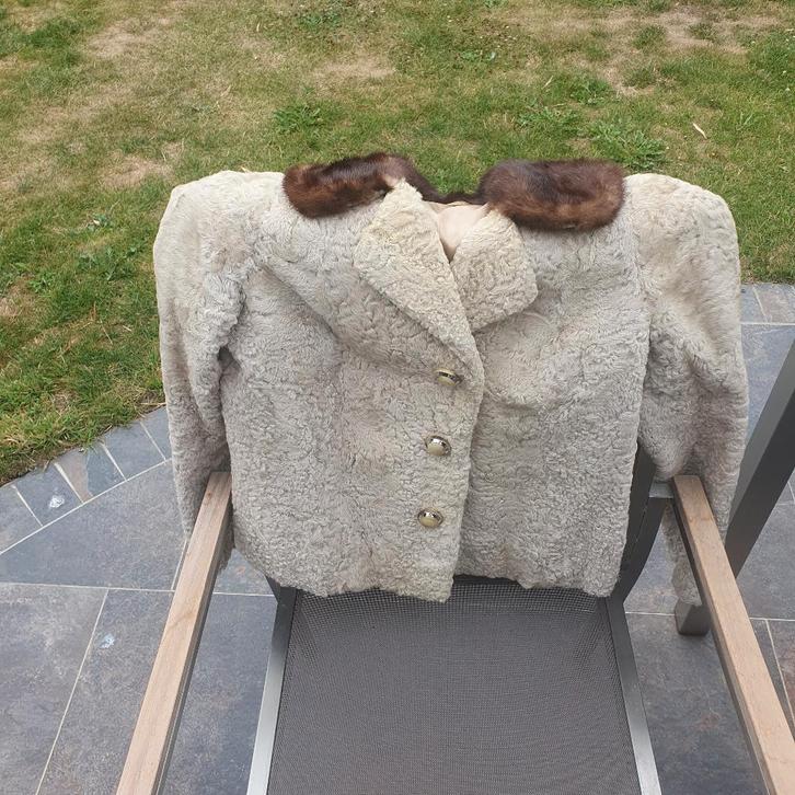 Collection de fourrure vintage, rétro des années 1950,, Vêtements | Femmes, Vestes | Hiver, Comme neuf, Taille 36 (S), Enlèvement