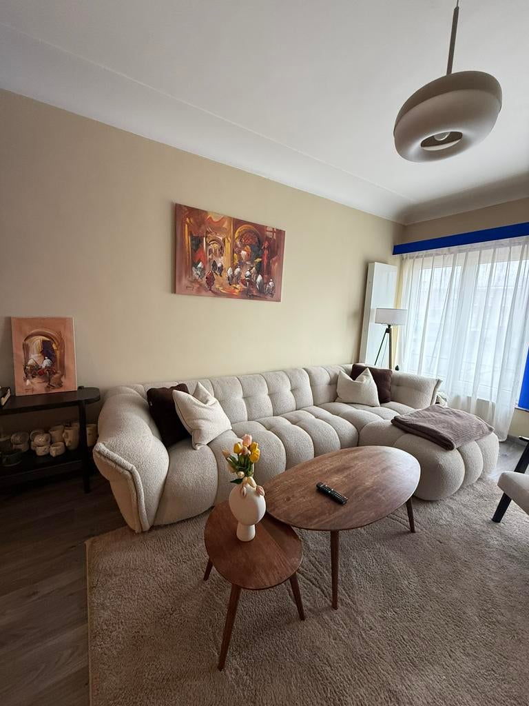 XOON BELLAGIO ZETEL, Provincie Antwerpen