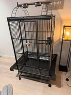 Papegaaienkooi + transportkooi + toebehoren te koop, Ophalen