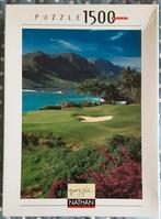 Puzzle 1500 pi, Enlèvement