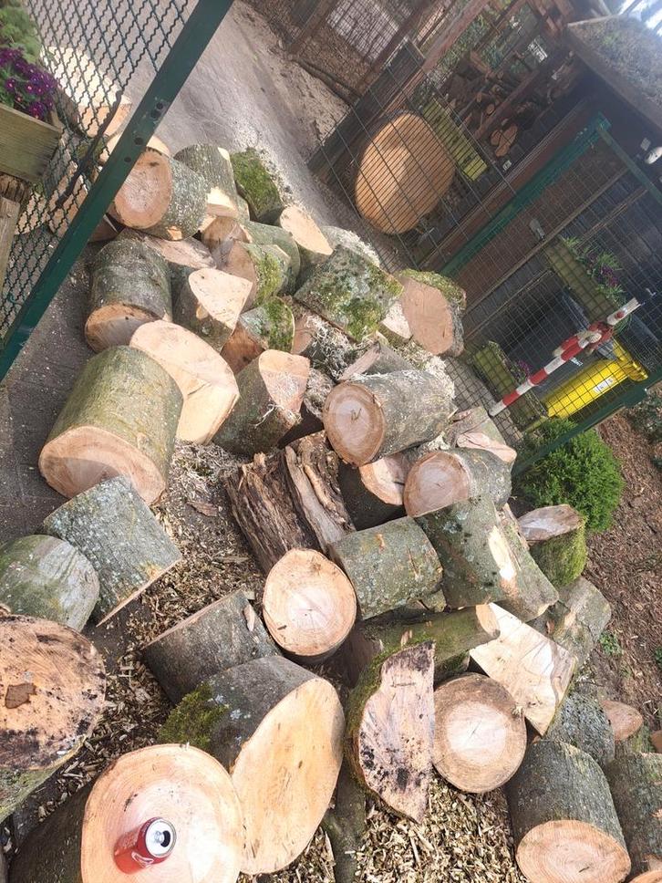 Brandhout / blokken, Tuin en Terras, Brandhout, Blokken, Overige houtsoorten, 6 m³ of meer, Ophalen