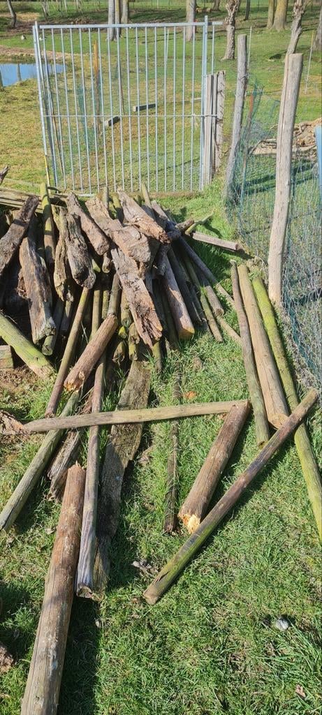 Brandhout, Minder dan 3 m³, Ophalen, Eikenhout, Stammen