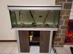 Aquarium avec meuble et accessoires