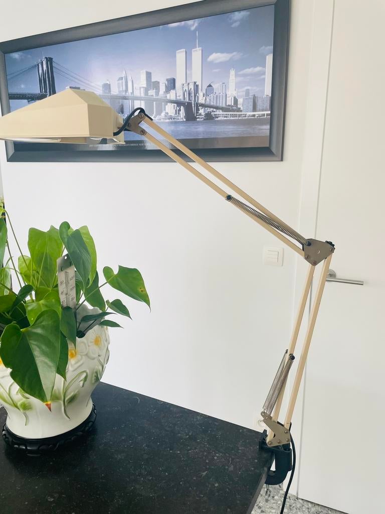 Vintage klemlamp met loep, Ophalen of Verzenden