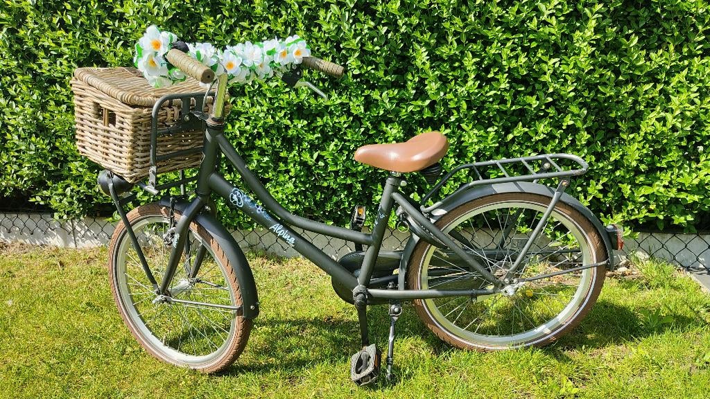 meisjesfiets 20 inch, Vélos & Vélomoteurs, Vélos | Filles, Enlèvement, Utilisé, 20 pouces, Alpina Meisjesfiets