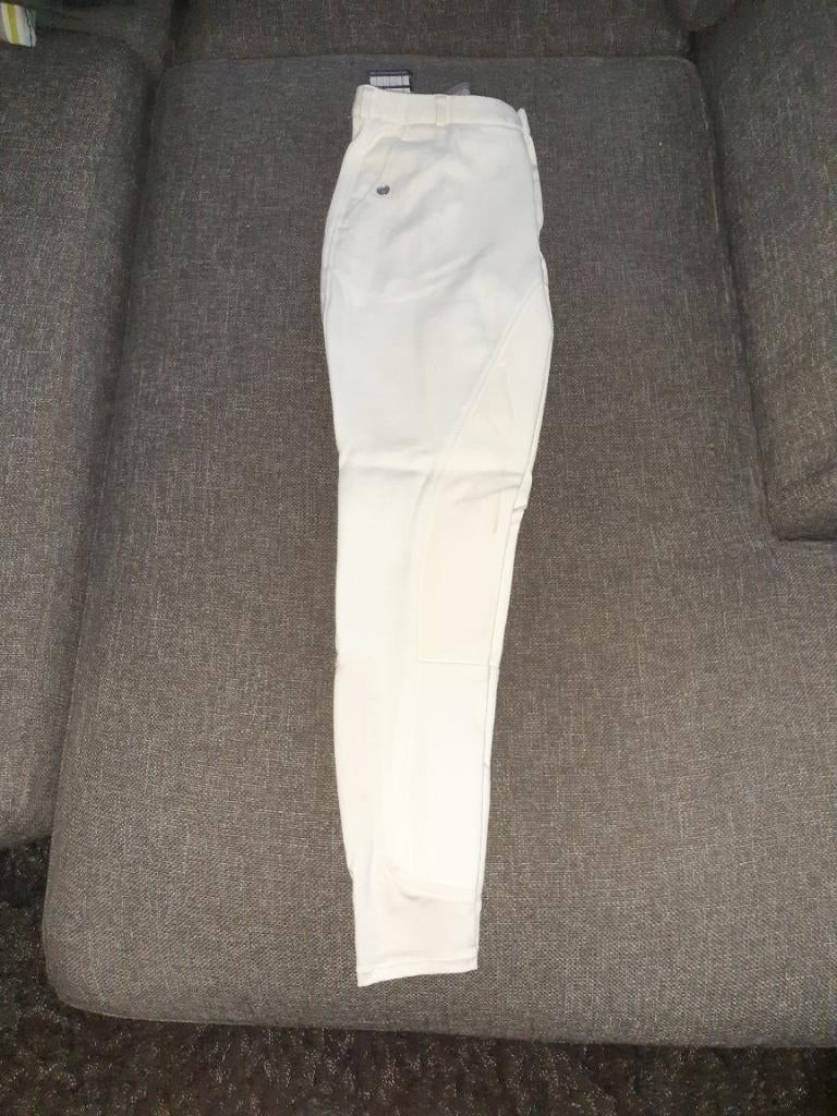 Rijbroek Heren Harry Horse 46, Dieren en Toebehoren, Paardrijkleding, Heren, Nieuw, Springen, Onderkleding