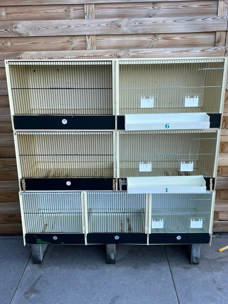 Pvc kweekkooien, Animaux & Accessoires, Oiseaux | Cages & Volières, Enlèvement, Comme neuf, Synthétique, Cage d'élevage