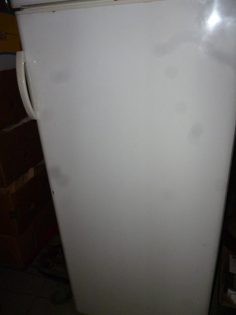 grote ijskast, Elektronische apparatuur, Ophalen, 60 cm of meer, 100 tot 150 liter, 160 cm of meer