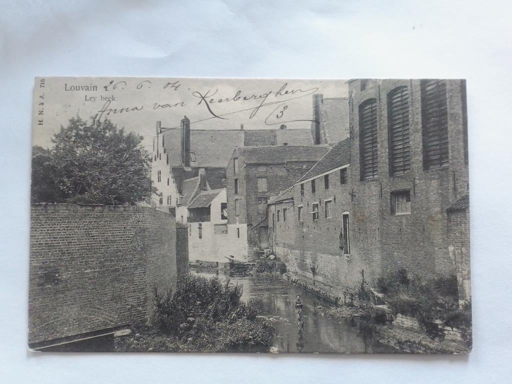LOUVAIN 1904 LOUVAIN LEY BEEK, Envoi, Avant 1920, Affranchie, Brabant Flamand