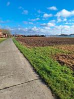 Rotselaar landbouwgrond te koop 1ha 31are, Immo, Rotselaar Leuven, Verkoop zonder makelaar, 1500 m² of meer