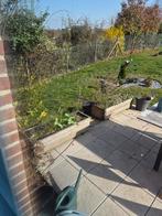 4 bac fleur bois traiter, Jardin & Terrasse, Enlèvement, Bois