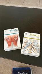 Sobotta flashcards (Elsevier), Livres, Enlèvement, Utilisé, Santé et Condition physique