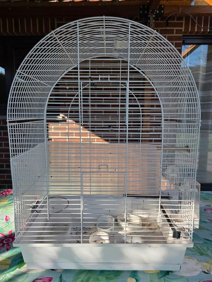 Grande cage pour oiseaux, Animaux & Accessoires, Oiseaux | Cages & Volières, Enlèvement