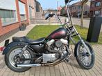 Harley Davidson Sportster custom 883 Ape, Motos, Chopper, 2 cylindres, Particulier, 883 cm³